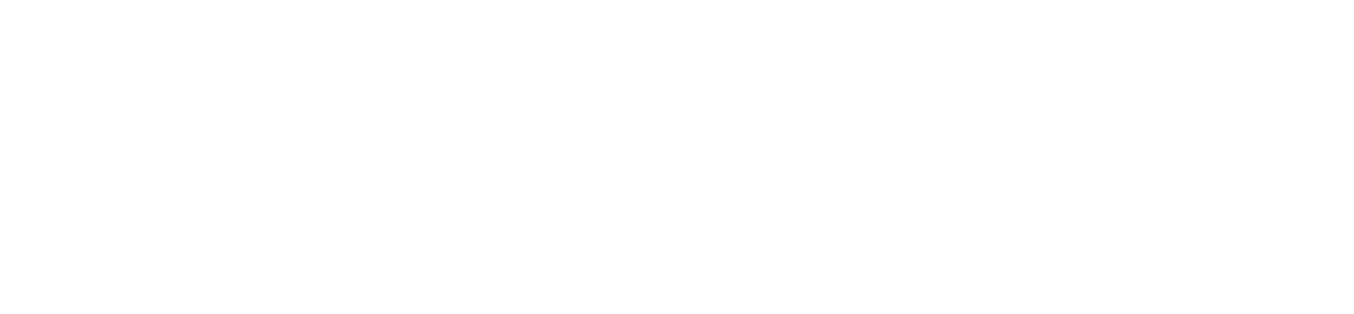 Conversion Media logo, white